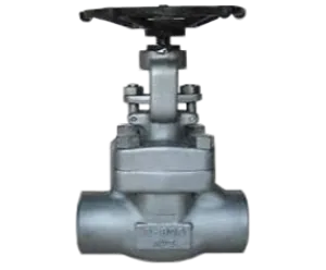 BMI 602 Product COMPACT STEEL GATE VALVE 1 compact_steel_gate_valve